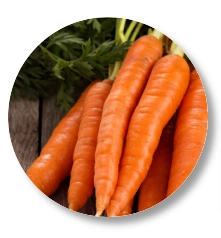 Beta Carotene