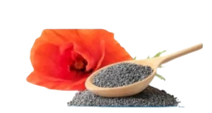 California Poppy (Poppy Seed)