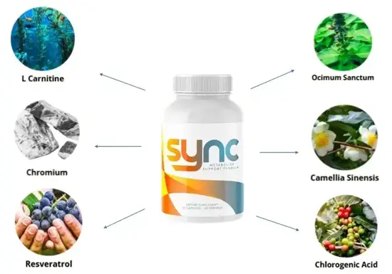 Sync Supplement Ingredients