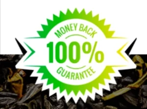 Tea Burn Money Back Guarantee