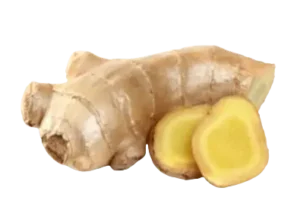 Joint Genesis Ginger Root